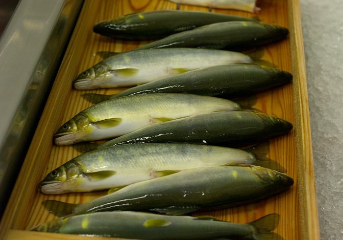 Món Cá Ayu Ở Nhật Bản